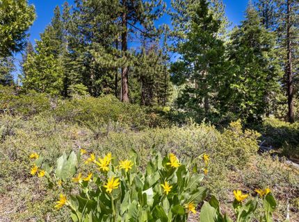 3100 North Lake Boulevard, Tahoe City, CA 96145 Photo