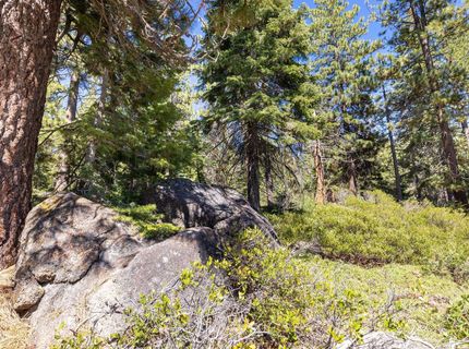 3100 North Lake Boulevard, Tahoe City, CA 96145 Photo