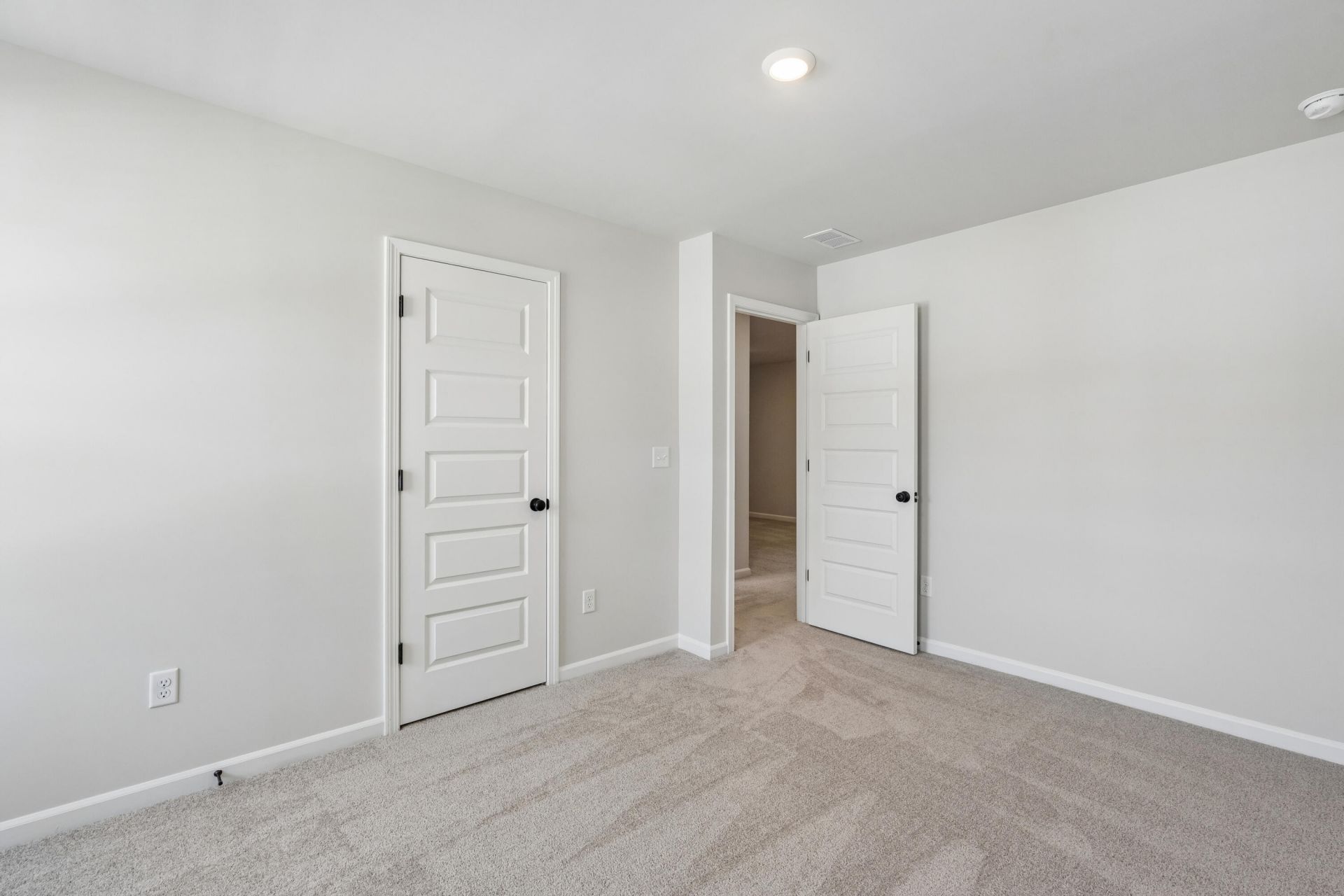 165 Green Thistle Way Photo 5