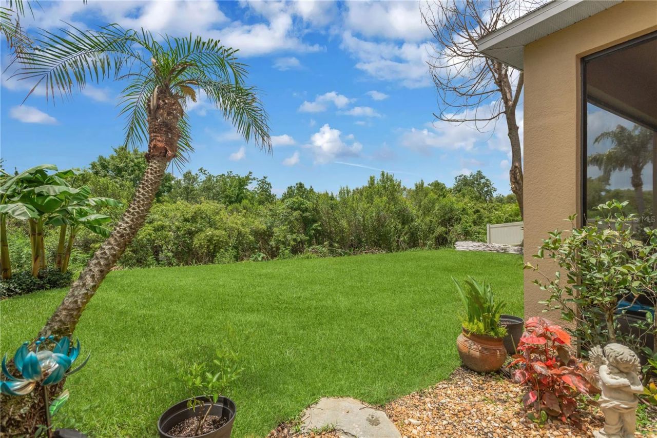 10859 Breaking Rocks Drive , Tampa, FL 33647 Photo