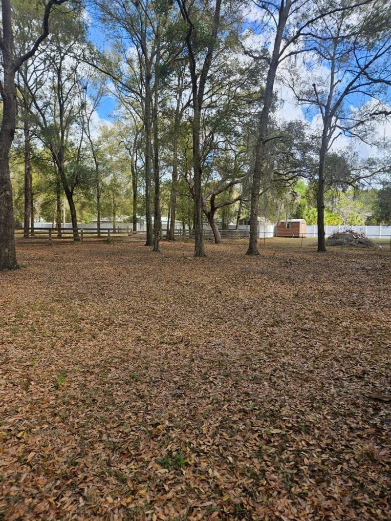 5463 E Tangelo Lane , Inverness, FL 34453 Photo