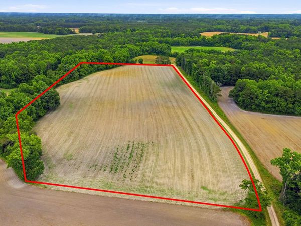 Tbd Pig Palace Lane , Council, NC 28434