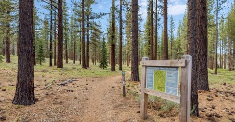 1238 Lone Indian Trail, South Lake Tahoe, CA 96150 Photo