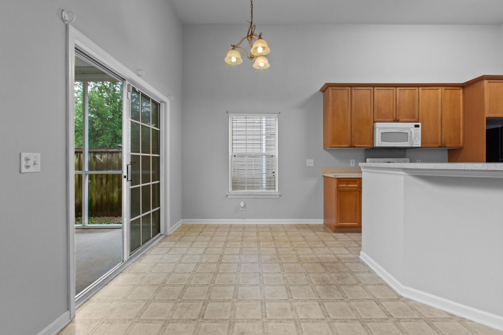 7211 Wistling Godwit Way Photo 8