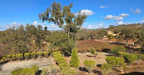 20540 Shenandoah School Road, Plymouth, CA 95669 Photo