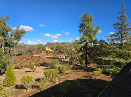 20540 Shenandoah School Road, Plymouth, CA 95669 Photo