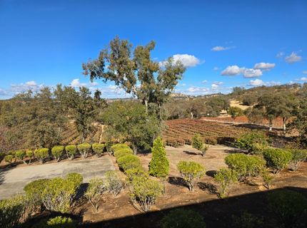 20540 Shenandoah School Road, Plymouth, CA 95669 Photo