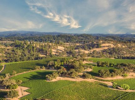 20540 Shenandoah School Road, Plymouth, CA 95669 Photo