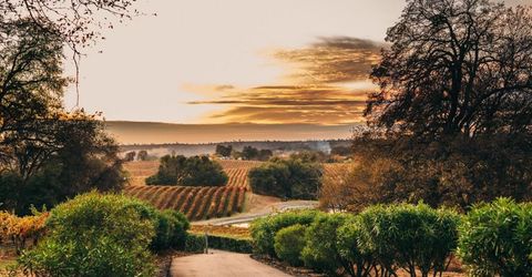 20540 Shenandoah School Road, Plymouth, CA 95669 Photo