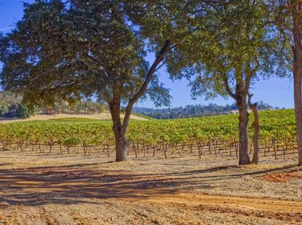 20540 Shenandoah School Road, Plymouth, CA 95669 Photo