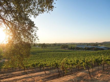20540 Shenandoah School Road, Plymouth, CA 95669 Photo