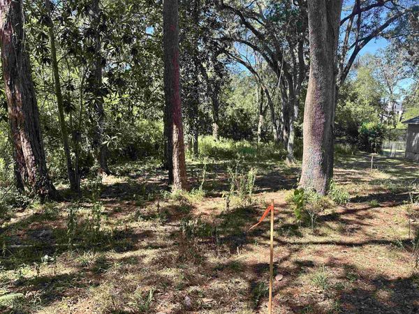 xxx Trescott Drive , Tallahassee, FL 32308