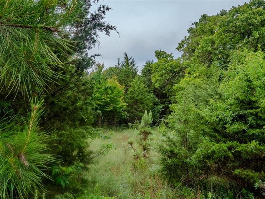 Property Image 64
