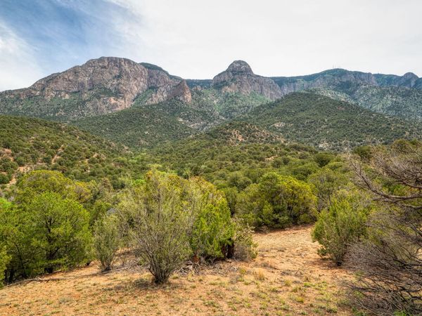 Crest View Trail , Albuquerque, NM 87122