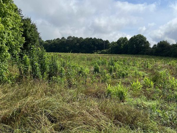 275 Highland Drive, Arab, AL 35016