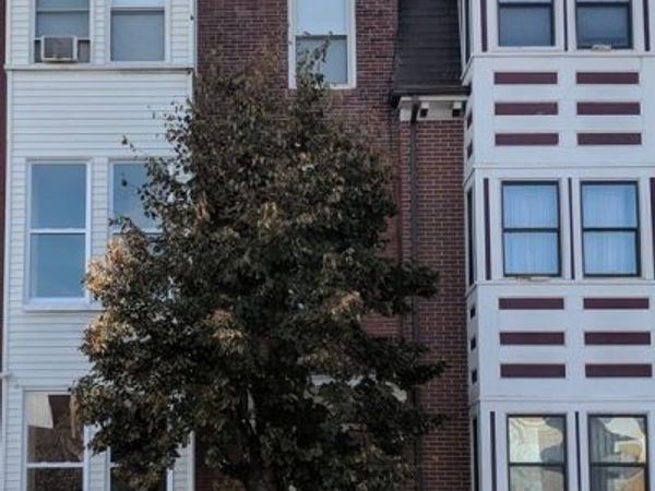 80 Havre St, Unit 2, Boston, MA 02128