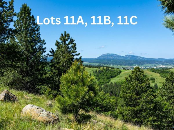 Tract 11C LOOKOUT VISTA RD, Spearfish, SD 57783