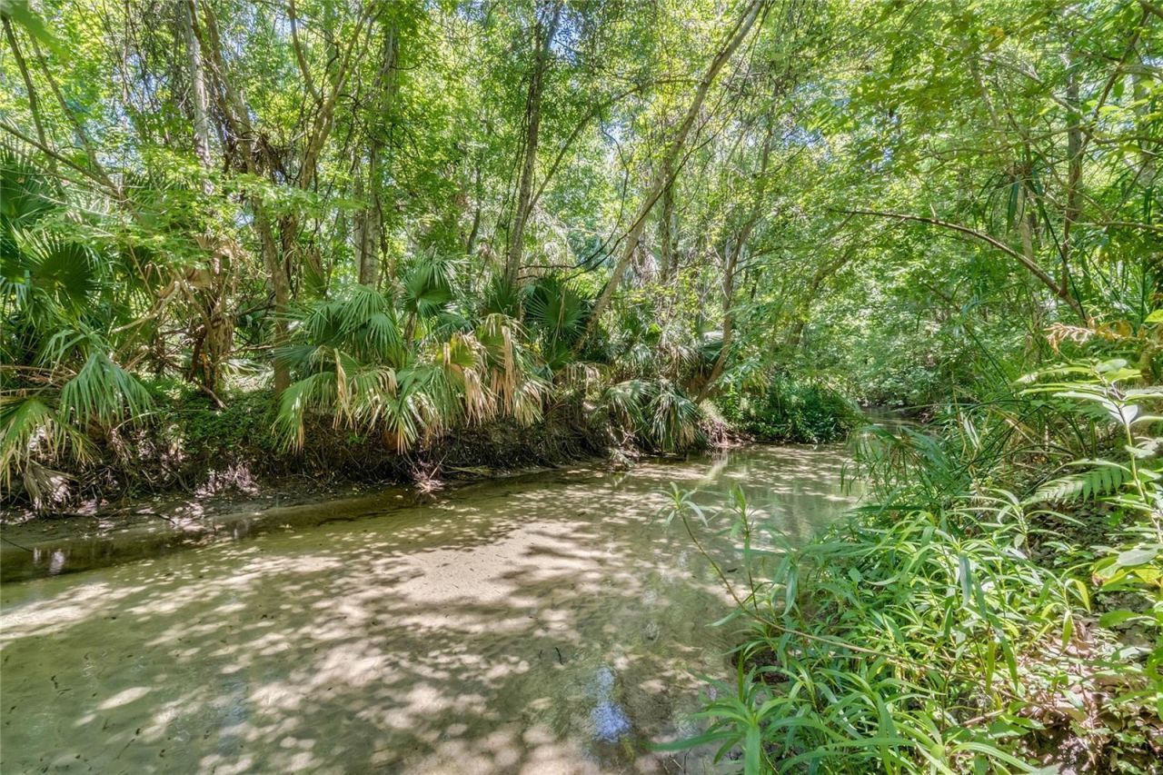 110 Cedar Point Lane, Longwood, FL 32779 Photo