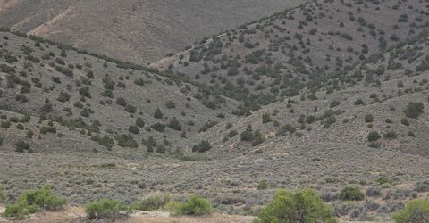 X Jungo Road, Winnemucca, NV 89445 Photo