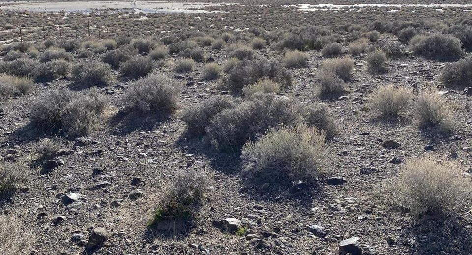 0 SW Break-a-heart Rd Road, Stagecoach, NV 89429 Photo