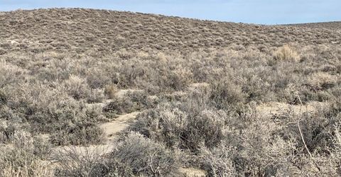 0 SW Break-a-heart Rd Road, Stagecoach, NV 89429 Photo