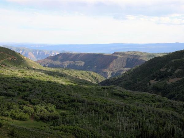 TBD MS Road, Glade Park, CO 81522