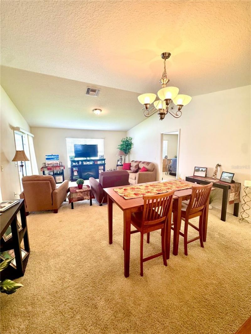 892 Nash Loop, The Villages, FL 32162 Photo