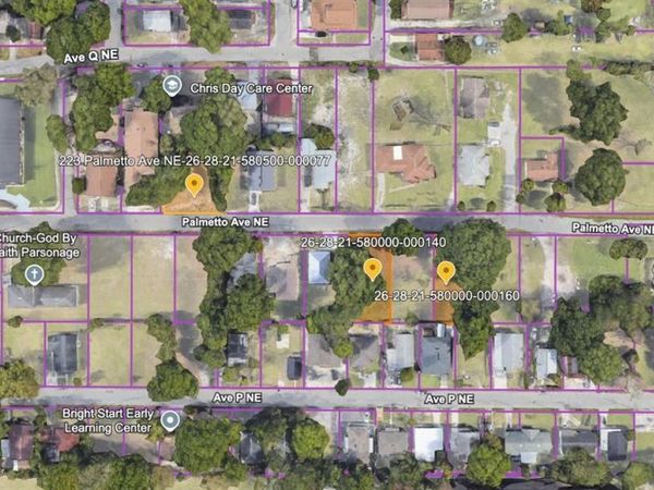 223 PALMETTO AVENUE NE, WINTER HAVEN, FL 33881