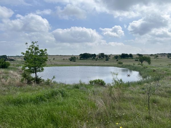 Tract 3 & 8 CR 3300 , Kempner, TX 76539