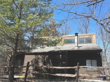 393 SPITZ LANE, Unit 99, BASYE, VA 22810