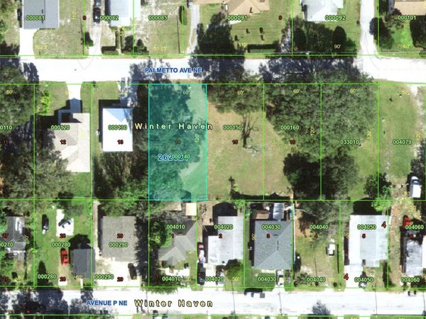 PALMETTO AVENUE NE, WINTER HAVEN, FL 33881