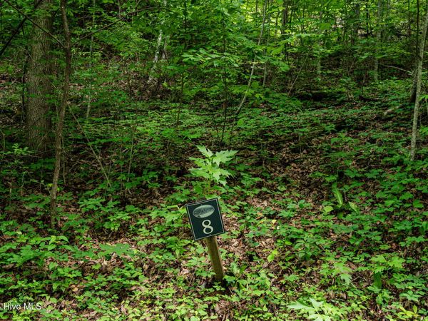 Lot 8 Skyview Drive , Hayesville, NC 28904