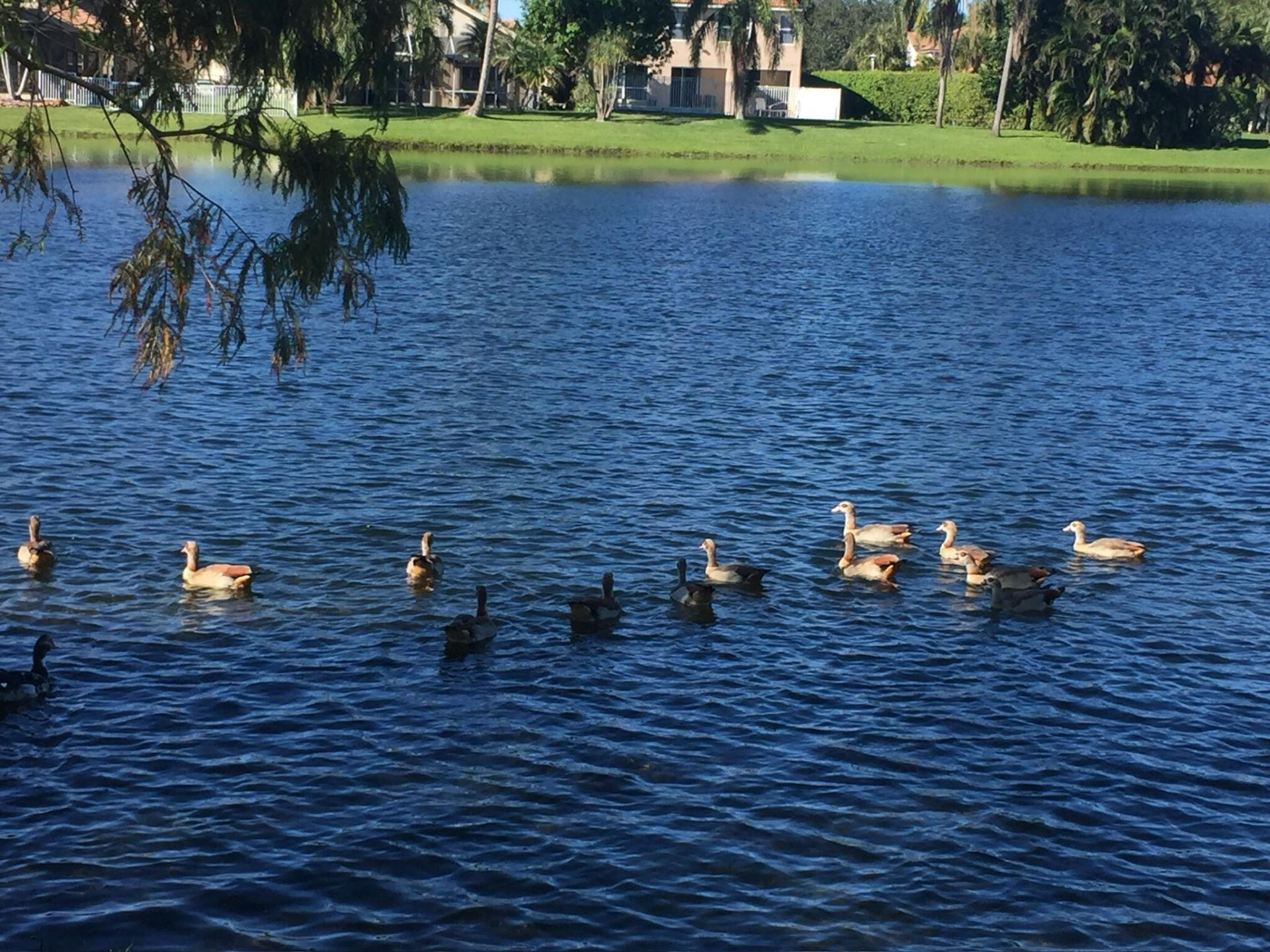 7418 Wescott Terrace, Lake Worth, FL 33467 Photo