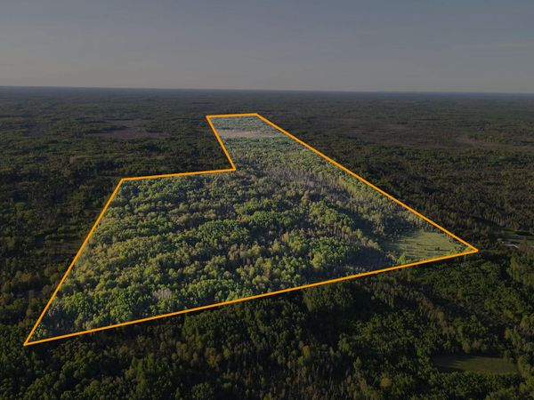 V/L 33 Road, Perkins, MI 49837