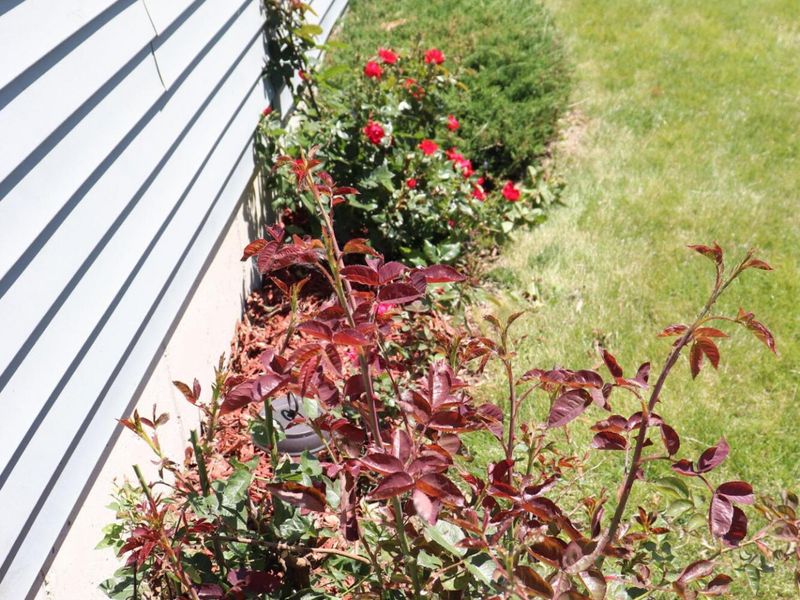475 N Main Street, Lakeview, OH 43331 Photo 62