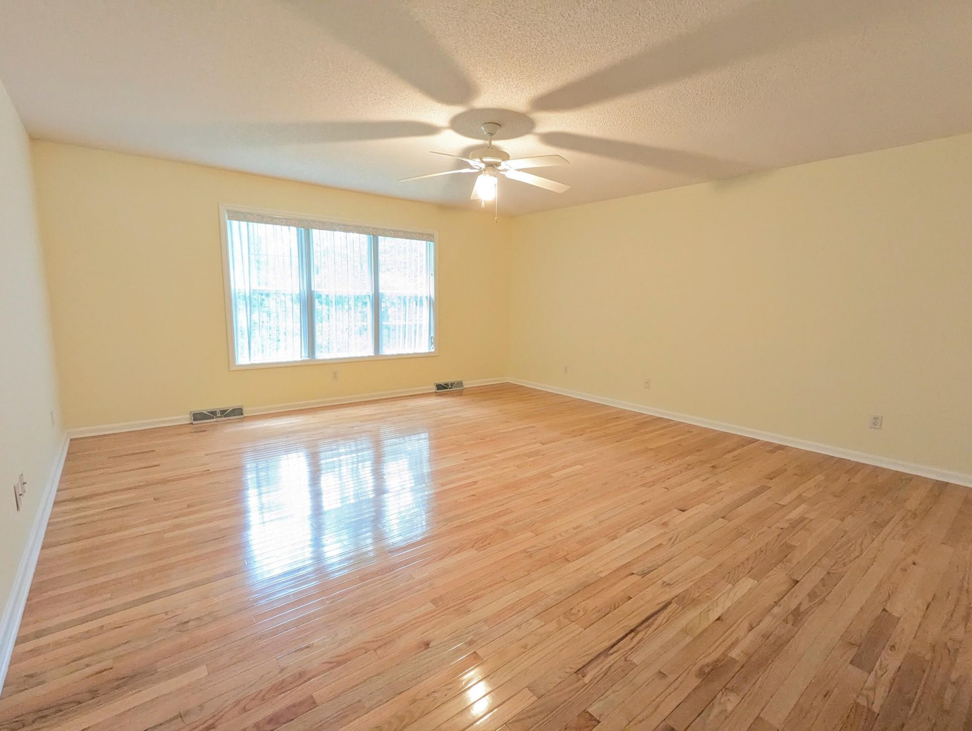 150 Haleswood Circle Photo 13