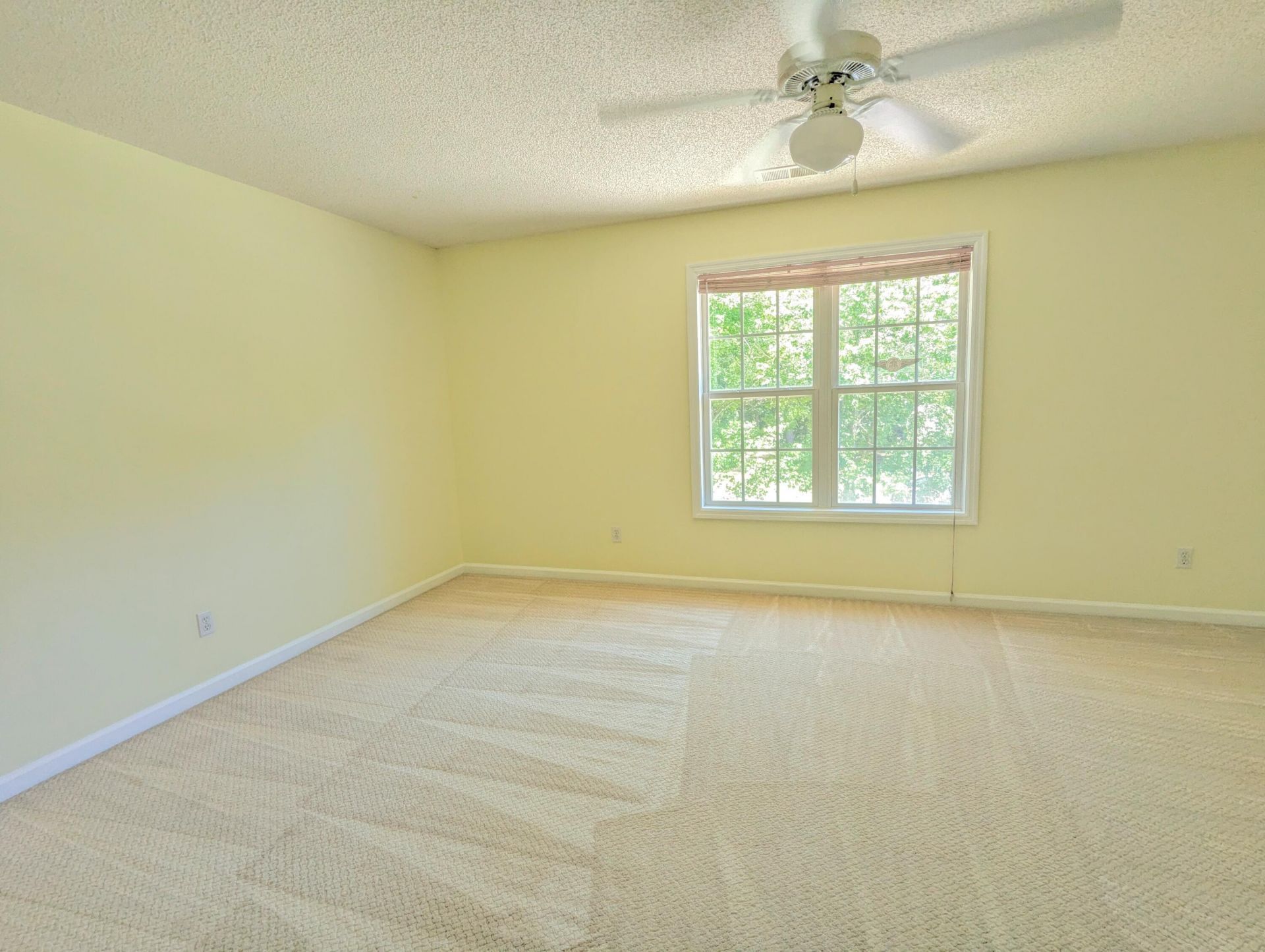 150 Haleswood Circle Photo 22