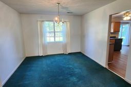 213 Fox Crossing Road photo 4