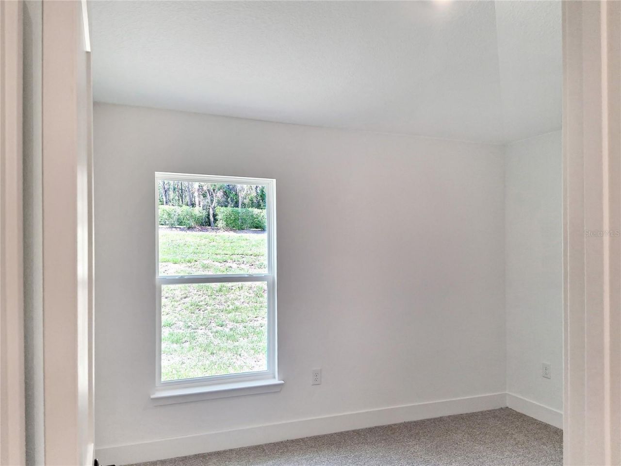 267 Verny Grove Lane, Leesburg, FL 34748 Photo