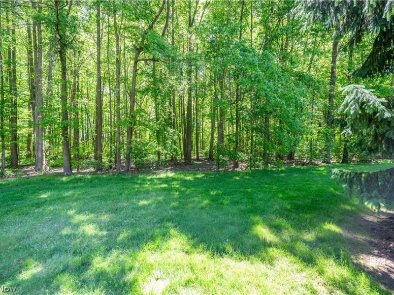 9114 Inverrary Drive SE, Howland, OH 44484 Photo 44