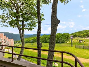 347 DOBIE CONDOS , WINTERGREEN RESORT, VA 22967