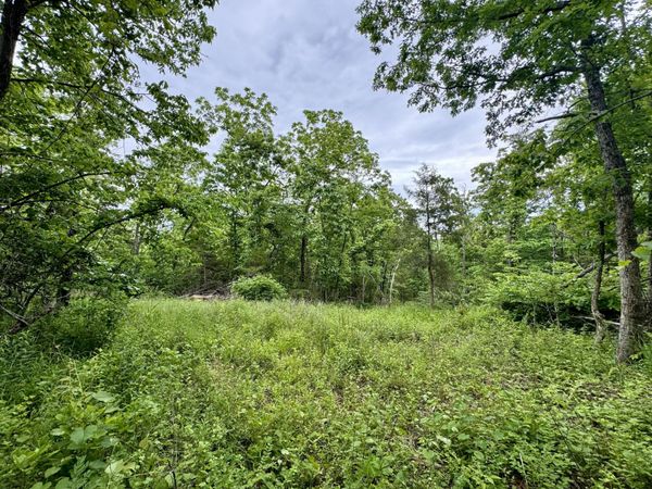 000 Hart Road , Macomb, MO 65702