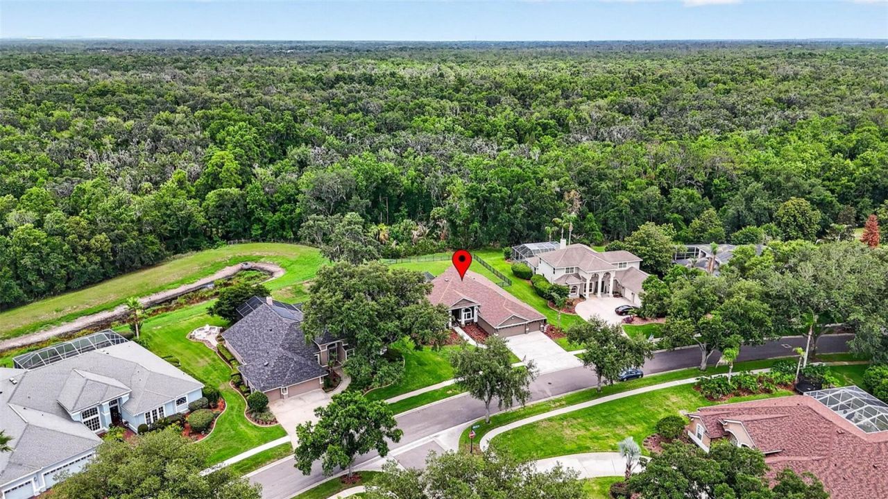 3904 S Nine Drive, Valrico, FL 33596 Photo