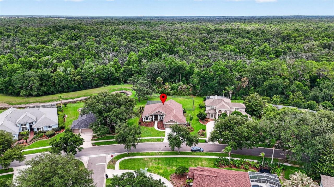 3904 S Nine Drive, Valrico, FL 33596 Photo