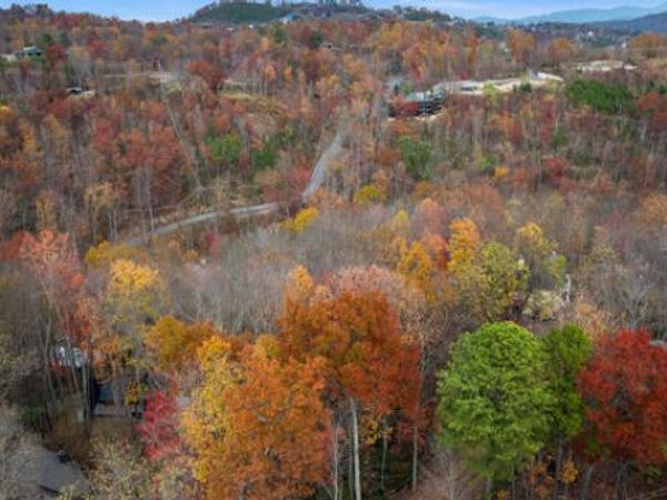 887 Holly Branch Rd, Gatlinburg, TN 37738