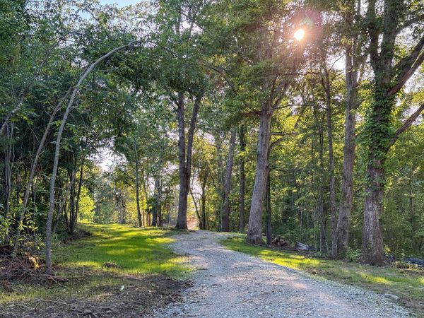 0 Hwy 301 , Trenton, GA 30752
