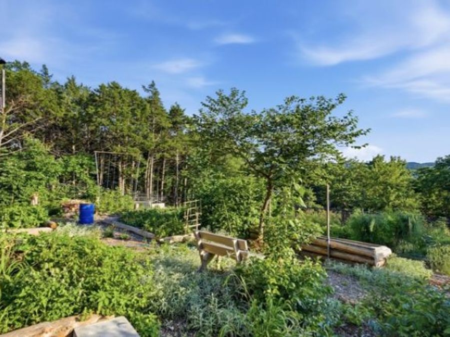 Property Image 14