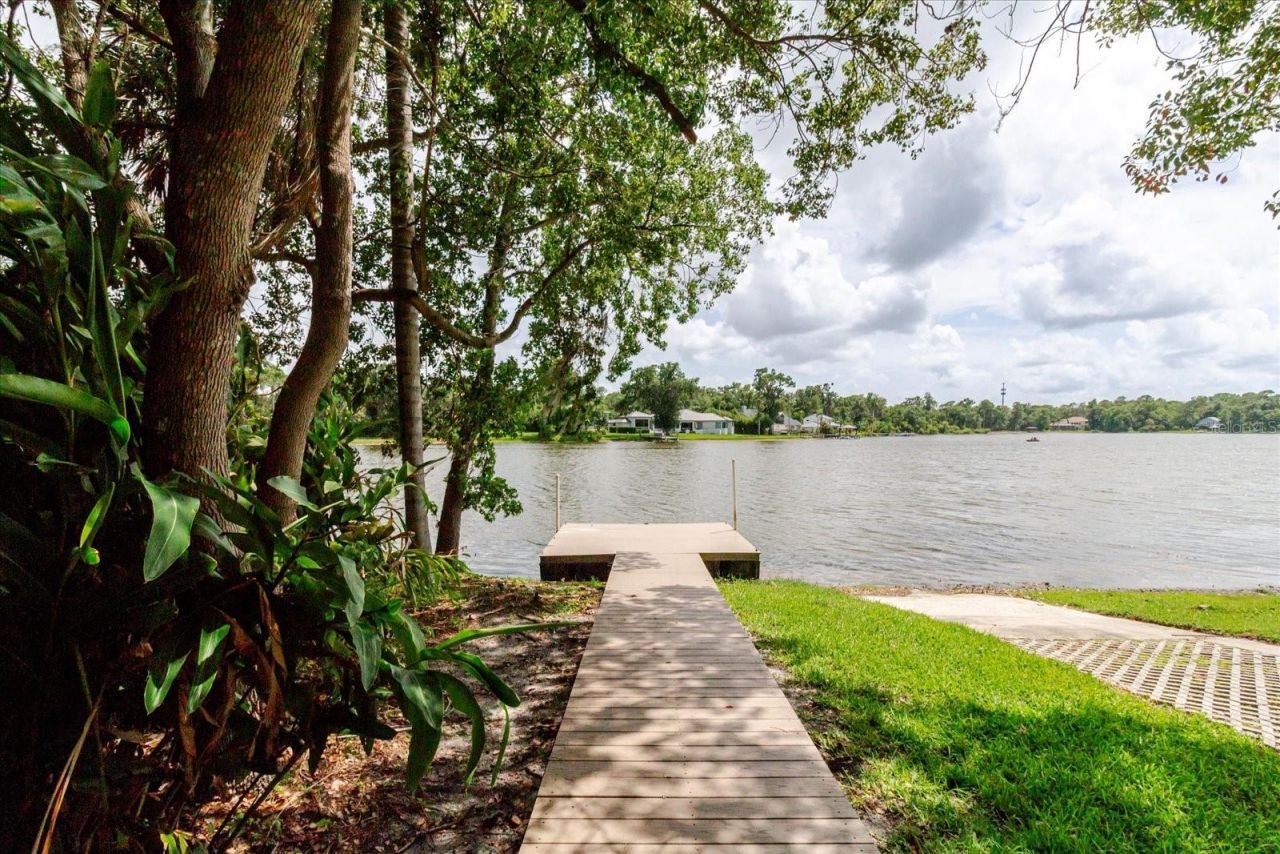 13510 Westshire Drive, Tampa, FL 33618 Photo