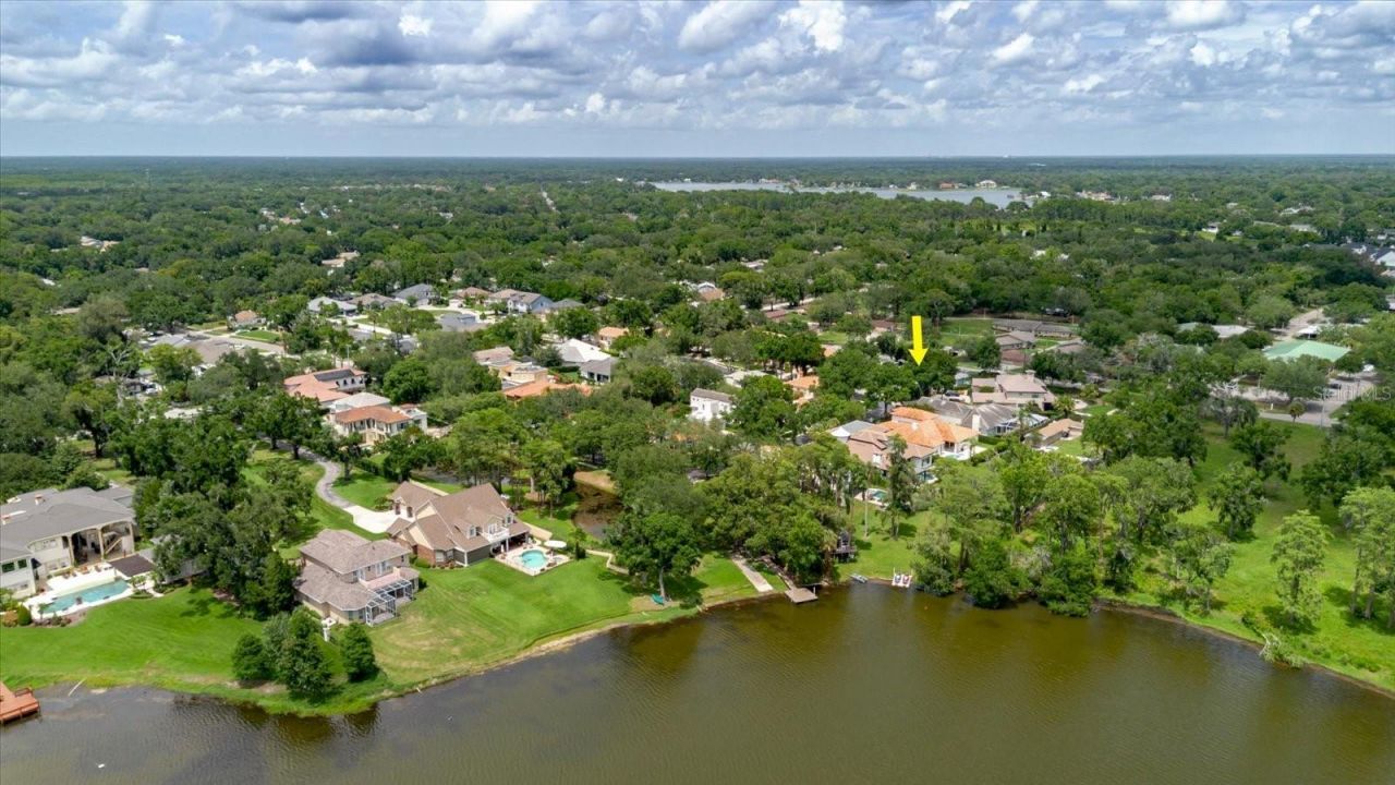 13510 Westshire Drive, Tampa, FL 33618 Photo