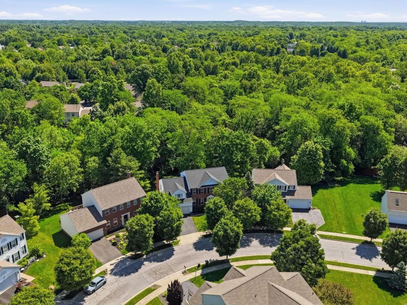 452 Sunridge Drive, Powell, OH 43065 Photo 3